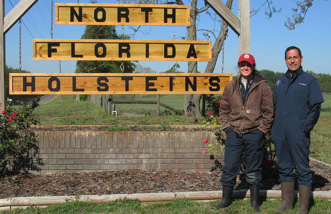 North Florida Holsteins